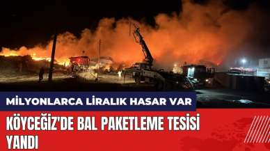 Köyceğiz'de bal paketleme tesisi yandı!