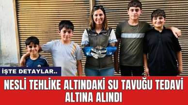 Nesli Tehlike Altındaki Su Tavuğu Tedavi Altına Alındı