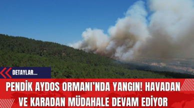 Pendik Aydos Ormanı’nda Yangın: Havadan ve Karadan Müdahale Devam Ediyor