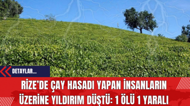 Rize’de Çay Hasadı Yapan İnsanların Üzerine Yıldırım Düştü: 1 Ölü 1 Yaralı