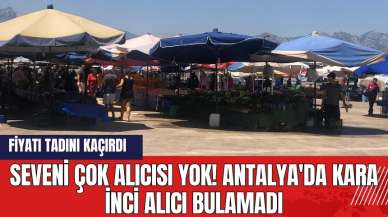 Seveni çok alıcısı yok! Antalya'da kara inci alıcı bulamadı