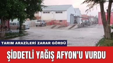 Şiddetli yağış Afyon'u vurdu: Tarım arazileri zarar gördü