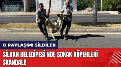 Silvan Belediyesi'nde sokak köpekleri skandalı! O paylaşımı sildiler