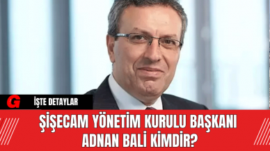 Şişecam Yönetim Kurulu Başkanı  Adnan Bali Kimdir?