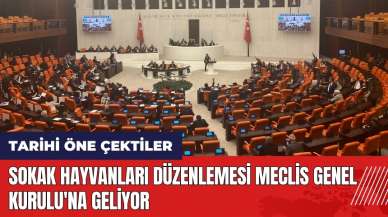 Sokak hayvanları düzenlemesi Meclis Genel Kurulu'na geliyor! İşte tarihi