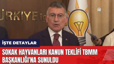 Sokak hayvanları kanun teklifi TBMM Başkanlığı'na sunuldu