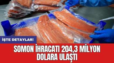 Somon ihracatı 204,3 milyon dolara ulaştı