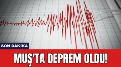 Son Dakika: Muş'ta deprem oldu!