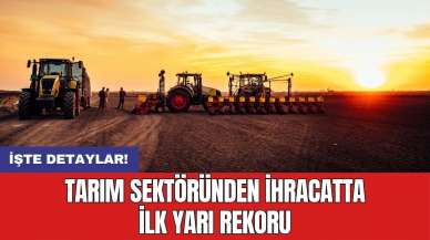 Tarım sektöründen ihracatta ilk yarı rekoru