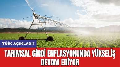 Tarımsal girdi enflasyonunda yükseliş devam ediyor