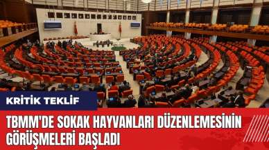 TBMM'de sokak hayvanları düzenlemesinin görüşmeleri başladı