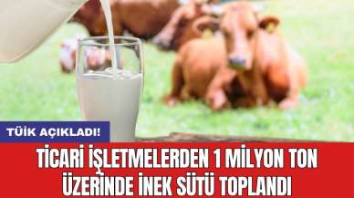 Ticari işletmelerden 1 milyon ton üzerinde inek sütü toplandı