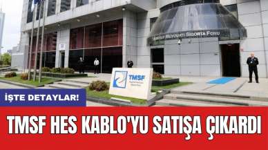 TMSF HES Kablo'yu satışa çıkardı