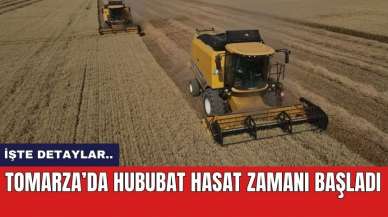 Tomarza’da hububat hasat zamanı başladı