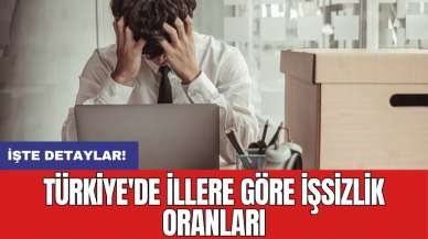 Türkiye'de illere göre işsizlik oranları