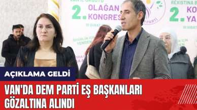 Van'da DEM Parti Eş Başkanları gözaltına alındı