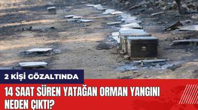 14 saat süren Yatağan orman yangını neden çıktı? İşte yangının çıkış yeri