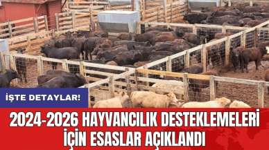 2024-2026 hayvancılık desteklemeleri için esaslar açıklandı