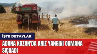 Adana Kozan'da anız yangını ormana sıçradı