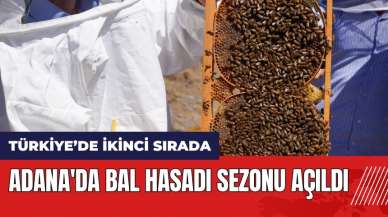 Adana'da bal hasadı sezonu açıldı