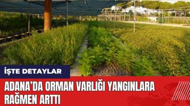 Adana’da orman varlığı yangınlara rağmen arttı