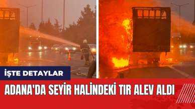 Adana'da seyir halindeki tır alev aldı