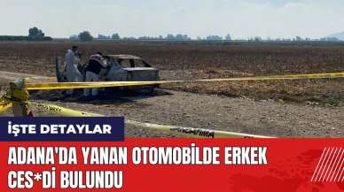 Adana'da yanan otomobilde erkek ces*di bulundu