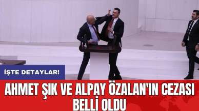 Ahmet Şık ve Alpay Özalan'ın cezası belli oldu