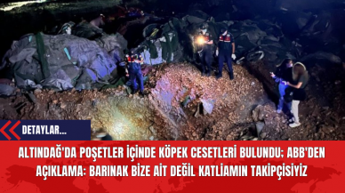 Altındağ'da Poşetler İçinde Köpek Cesetleri Bulundu; ABB'den Açıklama: Barınak Bize Ait Değil Katliamın Takipçisiyiz