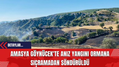 Amasya Göynücek'te Anız Yangını Ormana Sıçramadan Söndürüldü