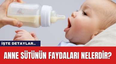 Anne Sütünün Faydaları Nelerdir?