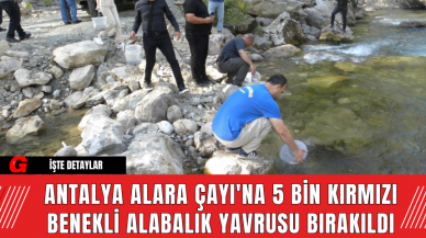 Antalya Alara Çayı'na 5 Bin Kırmızı Benekli Alabalık Yavrusu Bırakıldı