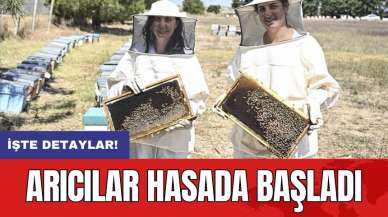 Arıcılar hasada başladı