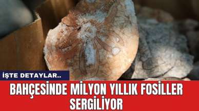 Bahçesinde Milyon Yıllık Fosilleri Sergiliyor