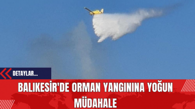 Balıkesir'de Orman Yangınına Yoğun Müdahale