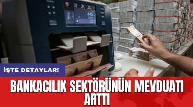 Bankacılık sektörünün mevduatı arttı