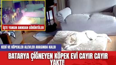 Batarya çiğneyen köpek evi yaktı! İşte o anlar