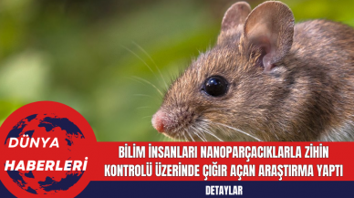 Bilim İnsanları Nanoparçacıklarla Zihin Kontrolü Üzerinde Çığır Açan Araştırma Yaptı