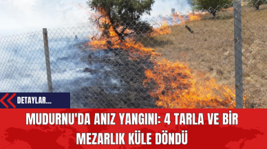 Mudurnu'da Anız Yangını: 4 Tarla ve Bir Mezarlık Küle Döndü