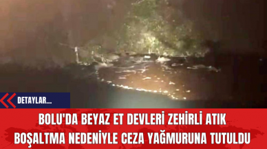 Bolu'da Beyaz Et Devleri Zehirli Atık Boşaltma Nedeniyle Ceza Yağmuruna Tutuldu