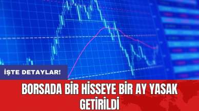 Borsada bir hisseye bir ay yasak getirildi