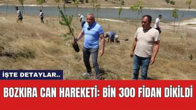 Bozkıra Can Hareketi: Bin 300 Fidan Dikildi