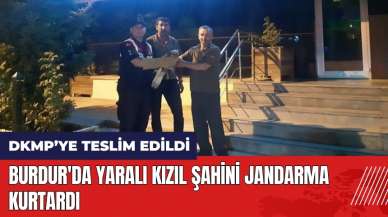 Burdur'da yaralı kızıl şahini jandarma kurtardı