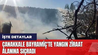 Çanakkale Bayramiç'te yangın ziraat alanına sıçradı