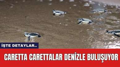 Caretta Carettalar Denizle Buluşuyor