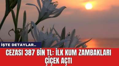 Cezası 387 Bin TL: İlk Kum Zambakları Çiçek Açtı