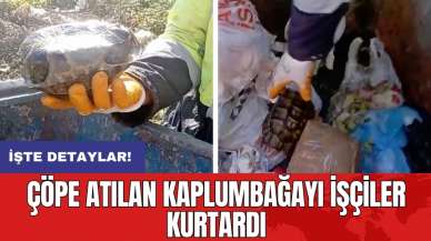 Çöpe atılan kaplumbağayı işçiler kurtardı