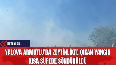 Yalova Armutlu'da Zeytinlikte Çıkan Yangın Kısa Sürede Söndürüldü