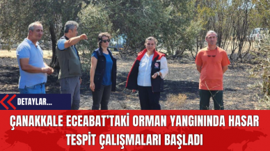 Çanakkale Eceabat’taki Orman Yangınında Hasar Tespit Çalışmaları Başladı