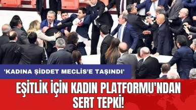 Eşitlik İçin Kadın Platformu'ndan sert tepki! 'Kadına şiddet Meclis’e taşındı'